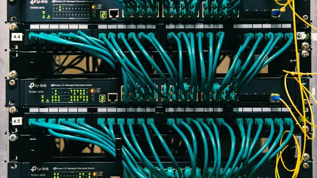 The Switch Accepted Root